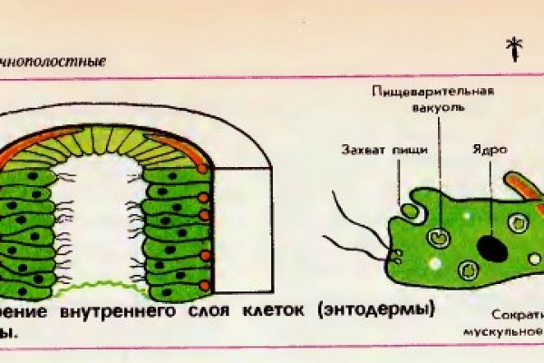 Кракен русский