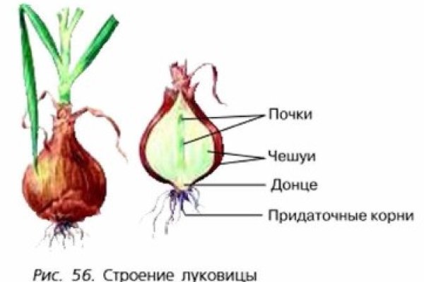 Кракен сайт вход